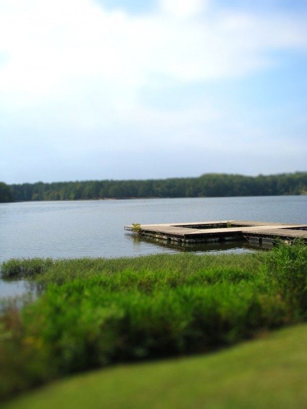 IMG_0469-tiltshift